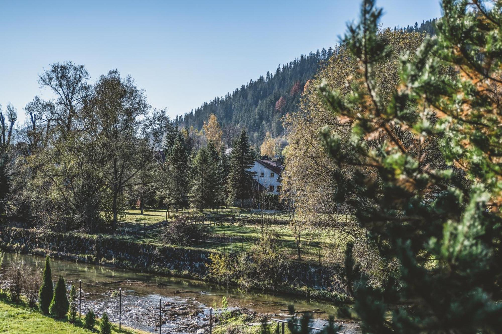 Pokoje Goscinne Na Stromej Zakopane Exterior foto